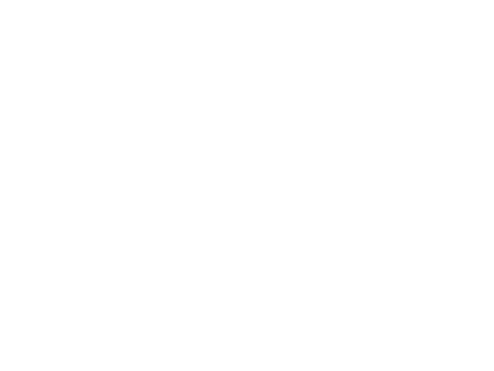 co-funded by the european union